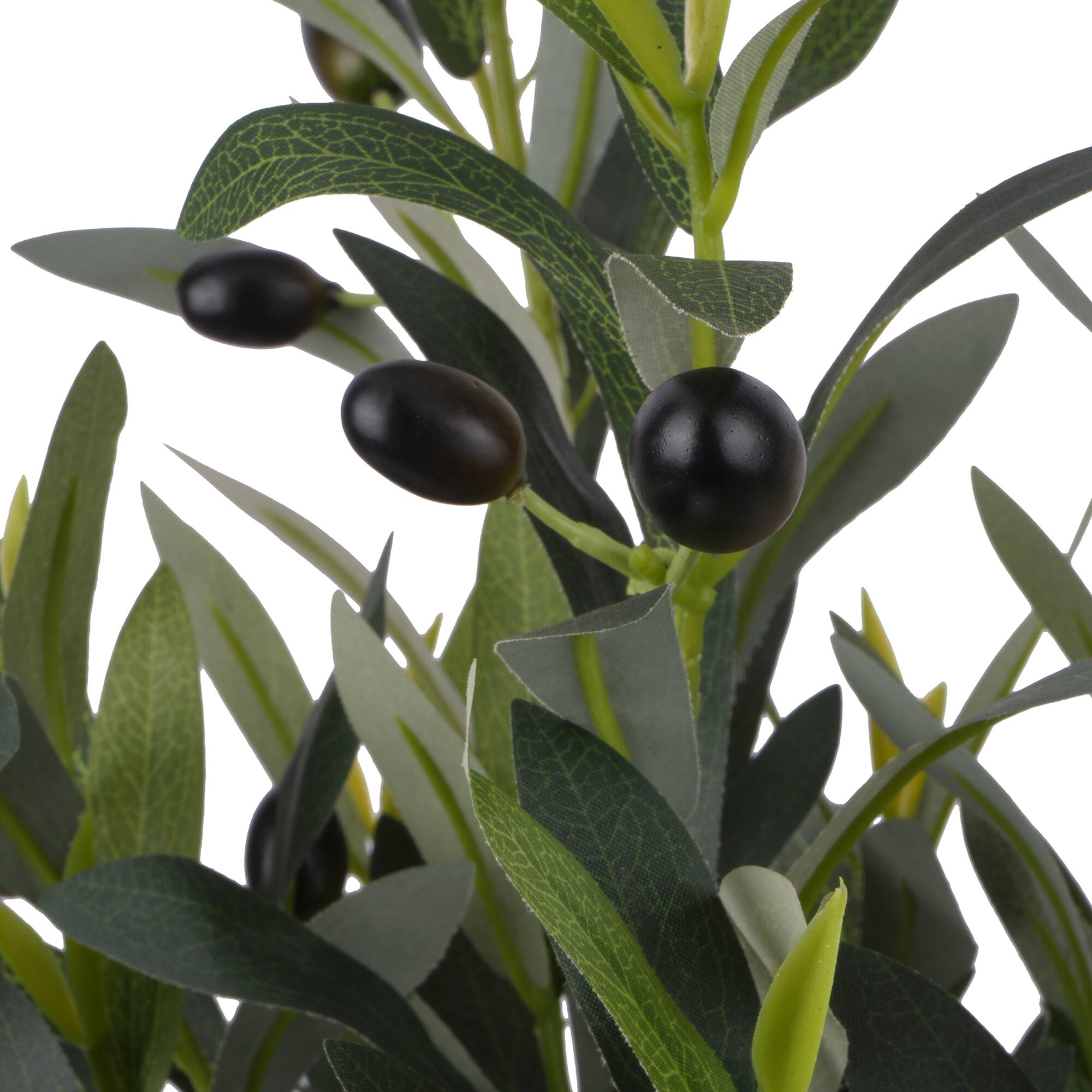23" Olive Bush by Ashland®